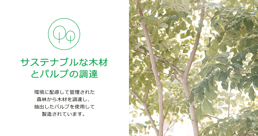 サステナブルな木材とパルプの調達。環境に配慮して管理された森林から木材を調達し、抽出したパルプを使用して製造されています。