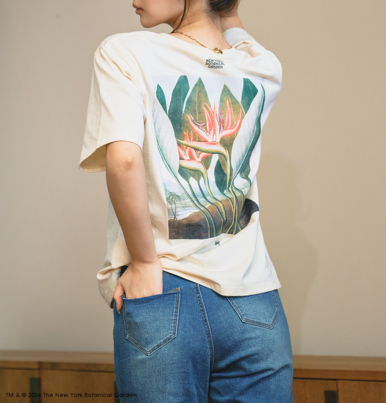 KINO THE KEI × NYBG