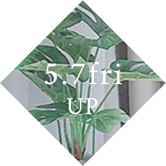 5/7 up