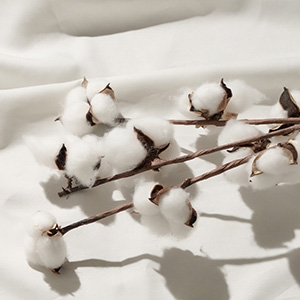 Joint Space Collaboration